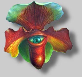 Blume mit Auge